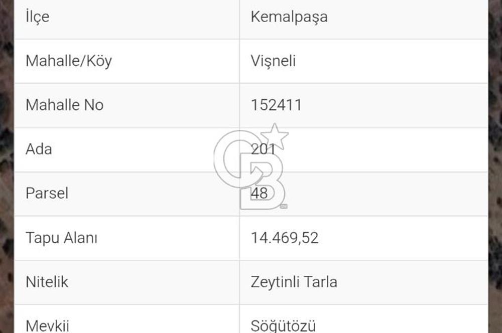 KEMALPAŞA VİŞNELİ SATILIK ZEYTİNLİ TARLA