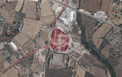 Urla Kuşçular Yoluna Cepheli Satılık Kooperatif Hissesi