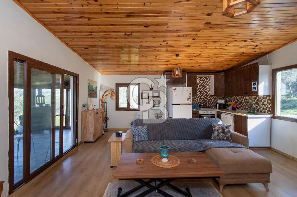 Foça Mustafa Kemal Atatürk Mah. Satılık Tarla