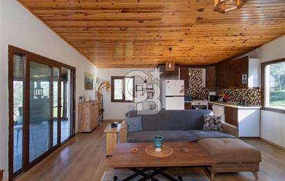 Foça Mustafa Kemal Atatürk Mah. Satılık Tarla