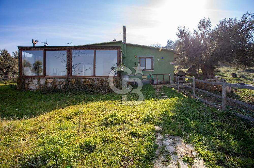 Foça Mustafa Kemal Atatürk Mah. Satılık Tarla