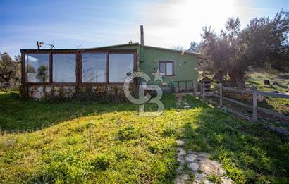 Foça Mustafa Kemal Atatürk Mah. Satılık Tarla