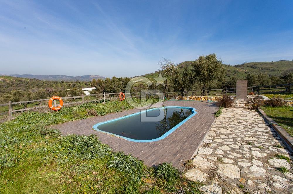 Foça Mustafa Kemal Atatürk Mah. Satılık Tarla