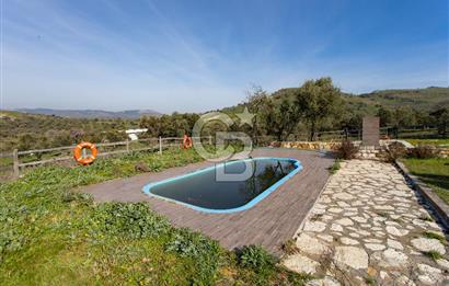 Foça Mustafa Kemal Atatürk Mah. Satılık Tarla