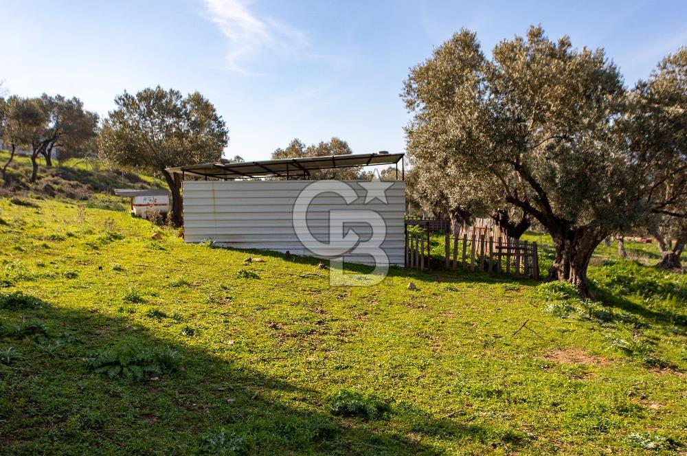 Foça Mustafa Kemal Atatürk Mah. Satılık Tarla