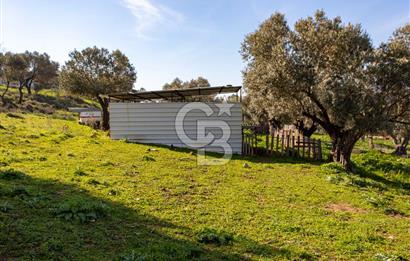 Foça Mustafa Kemal Atatürk Mah. Satılık Tarla