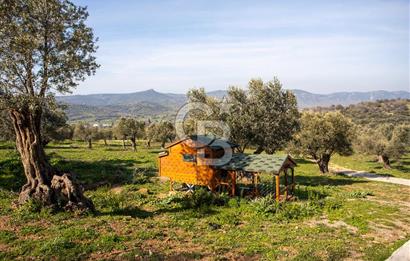 Foça Mustafa Kemal Atatürk Mah. Satılık Tarla
