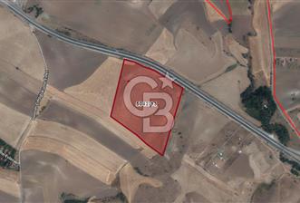 ANKARA GÖLBAŞI BEYNAM KÖYÜ ERİCEK MEVKİİ SATILIK TEK TAPU TARLA - 10 - 336912