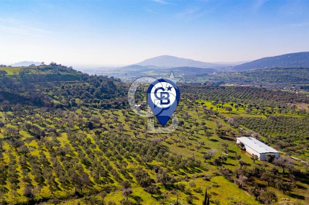 Foça Mustafa Kemal Atatürk Mah. Satılık Tarla