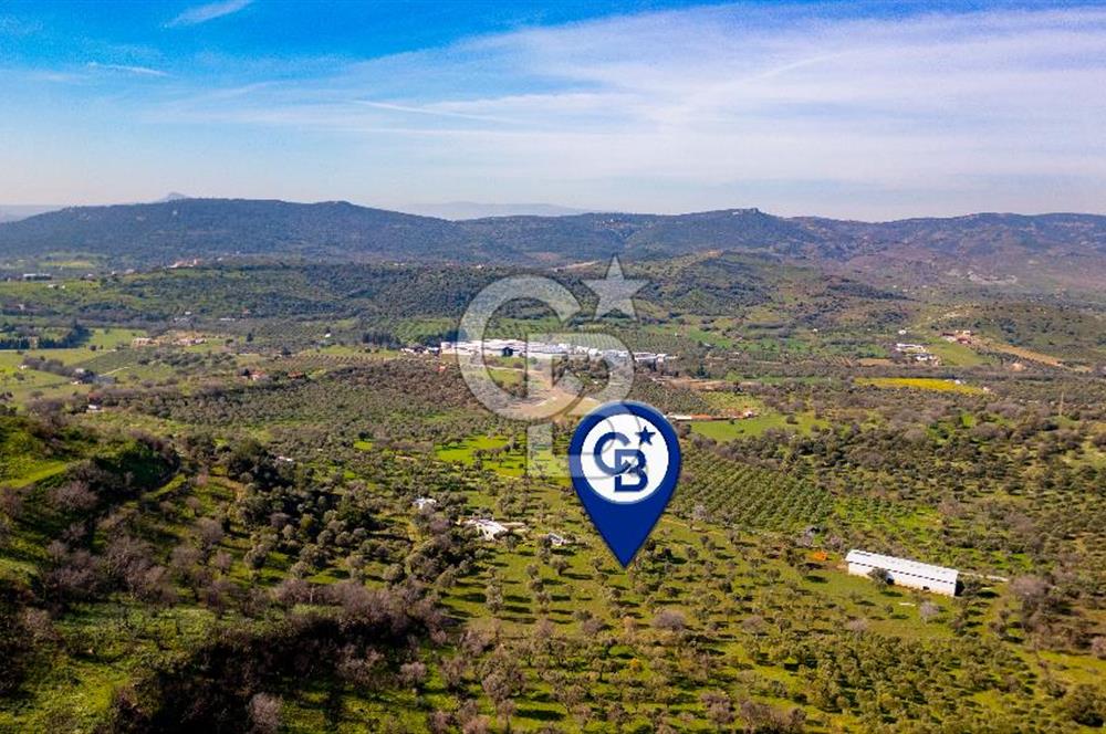 Foça Mustafa Kemal Atatürk Mah. Satılık Tarla