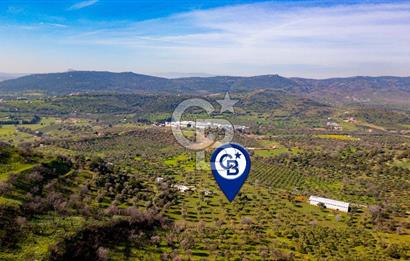 Foça Mustafa Kemal Atatürk Mah. Satılık Tarla