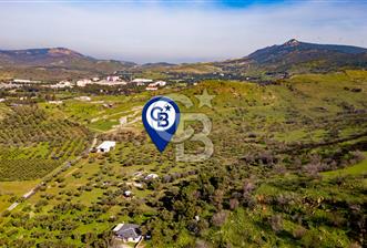 Foça Mustafa Kemal Atatürk Mah. Satılık Tarla - 10 - 336886