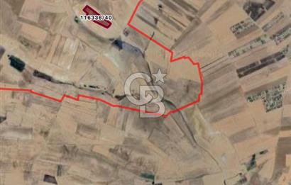 CB VİZYON BÜŞRA ERGÜL DEN VELİHİMMETLİ DE SATILIK 1000 M2 HİSSE