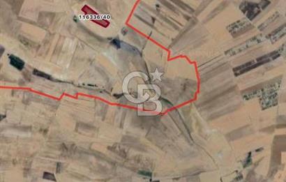 CB VİZYON BÜŞRA ERGÜL DEN VELİHİMMETLİ DE SATILIK 1000 M2 HİSSE