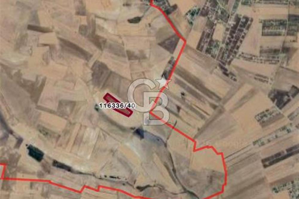 CB VİZYON BÜŞRA ERGÜL DEN VELİHİMMETLİ DE SATILIK 1000 M2 HİSSE