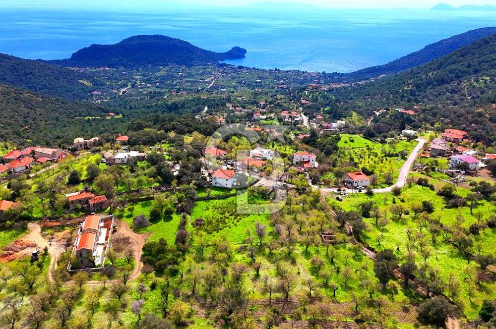 Datça Mesudiye'de Satılık 917 m² İmarlı Arsa