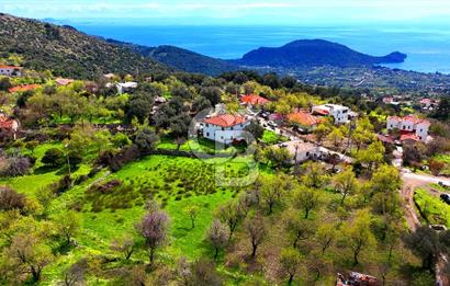 Datça Mesudiye'de Satılık 917 m² İmarlı Arsa