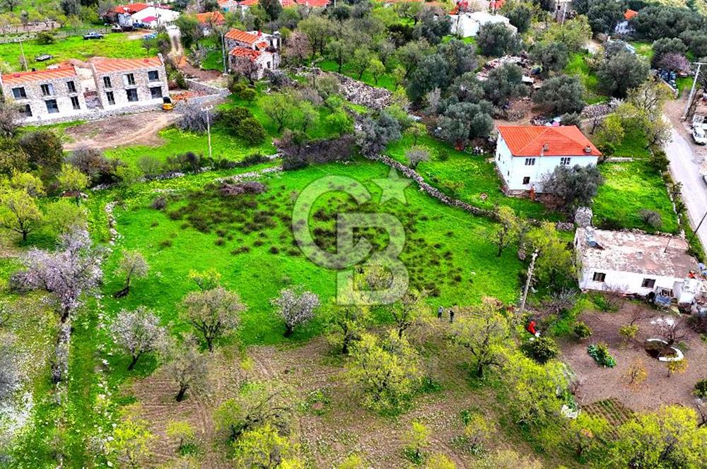 Datça Mesudiye'de Satılık 917 m² İmarlı Arsa