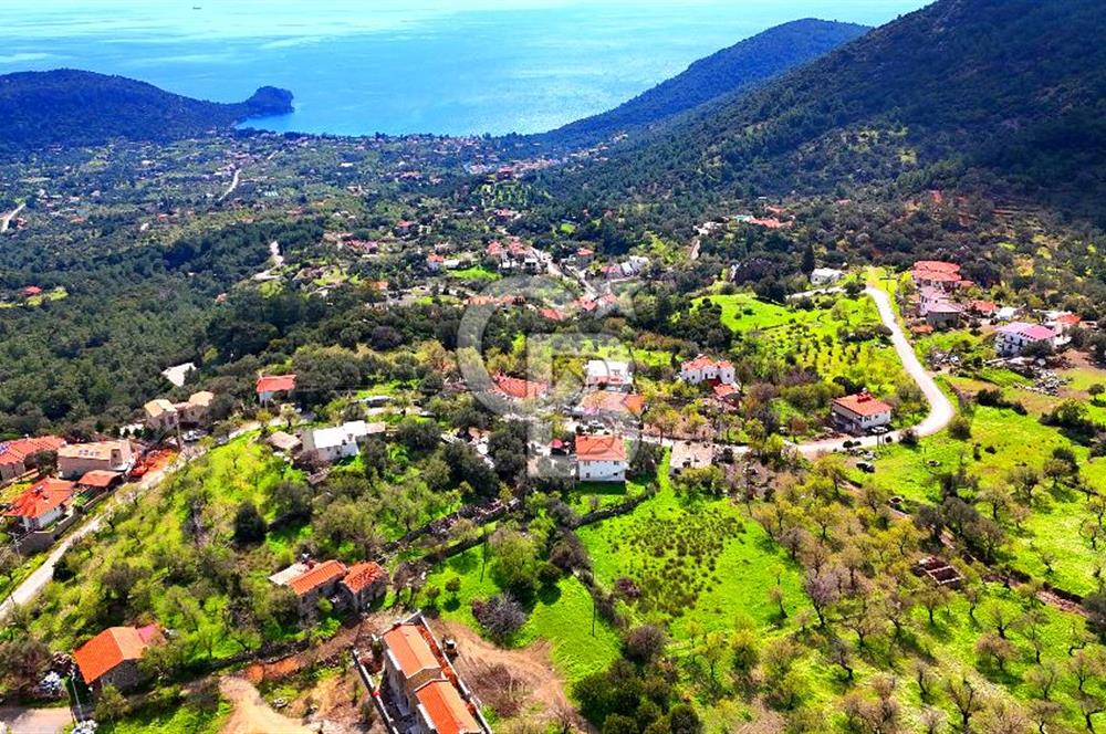 Datça Mesudiye'de Satılık 917 m² İmarlı Arsa