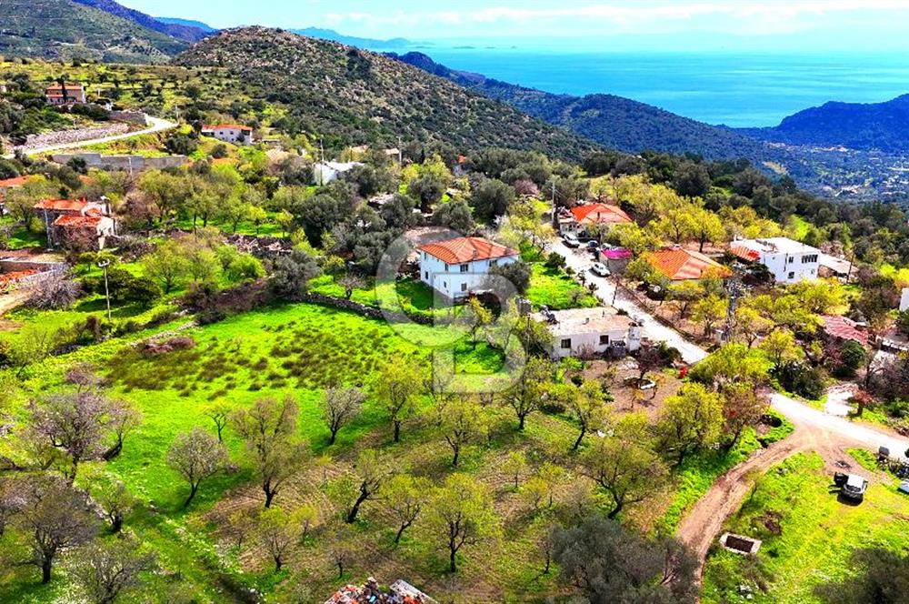 Datça Mesudiye'de Satılık 917 m² İmarlı Arsa