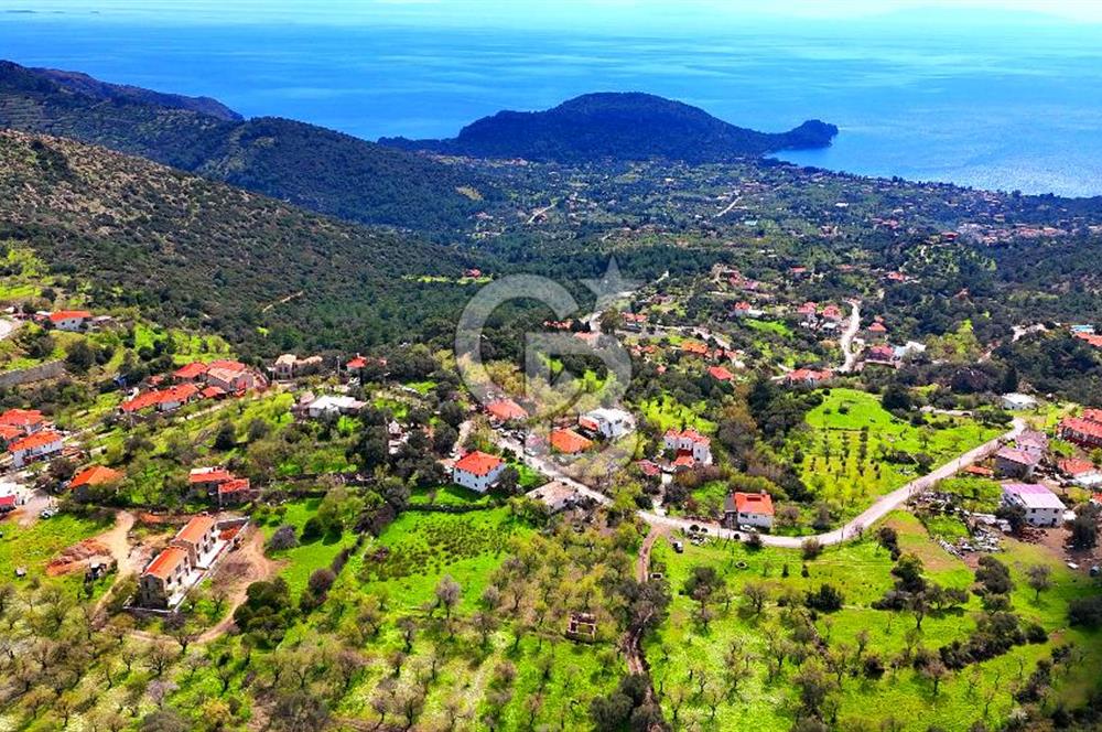 Datça Mesudiye'de Satılık 917 m² İmarlı Arsa