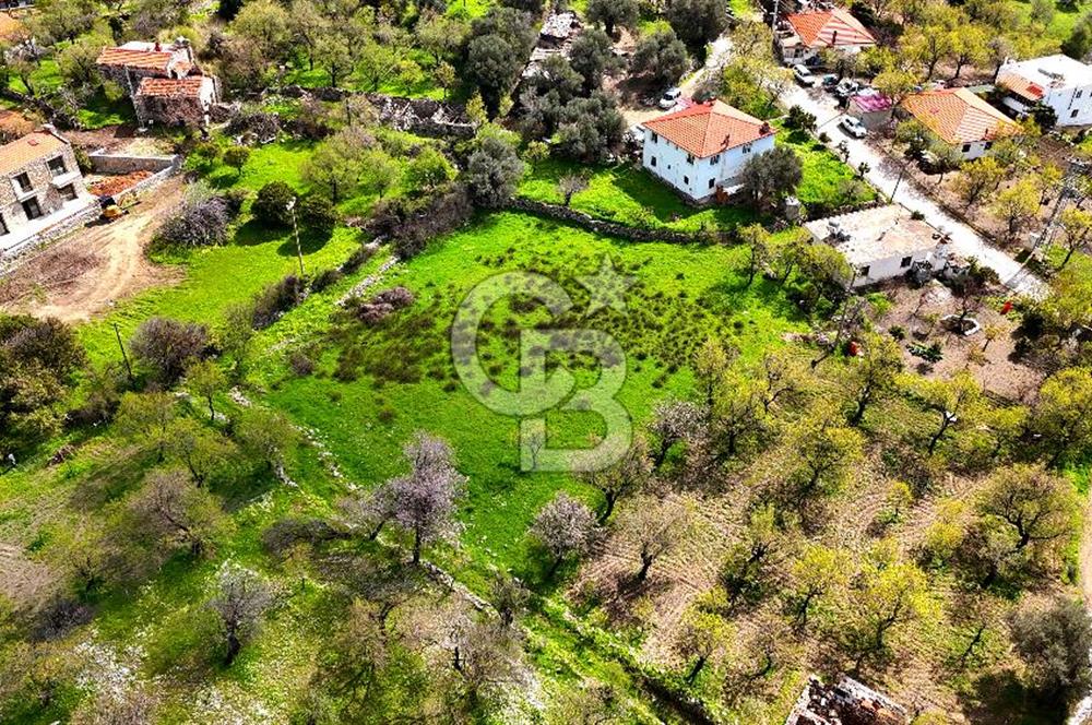 Datça Mesudiye'de Satılık 917 m² İmarlı Arsa