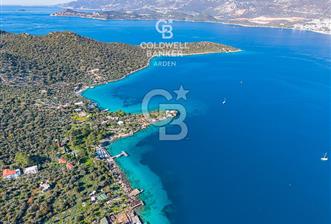 ANTALYA KAŞ LİMANAĞZI NDA CB ARDEN DEN KİRALIK ZEYTİNLİK - 1 - 336920