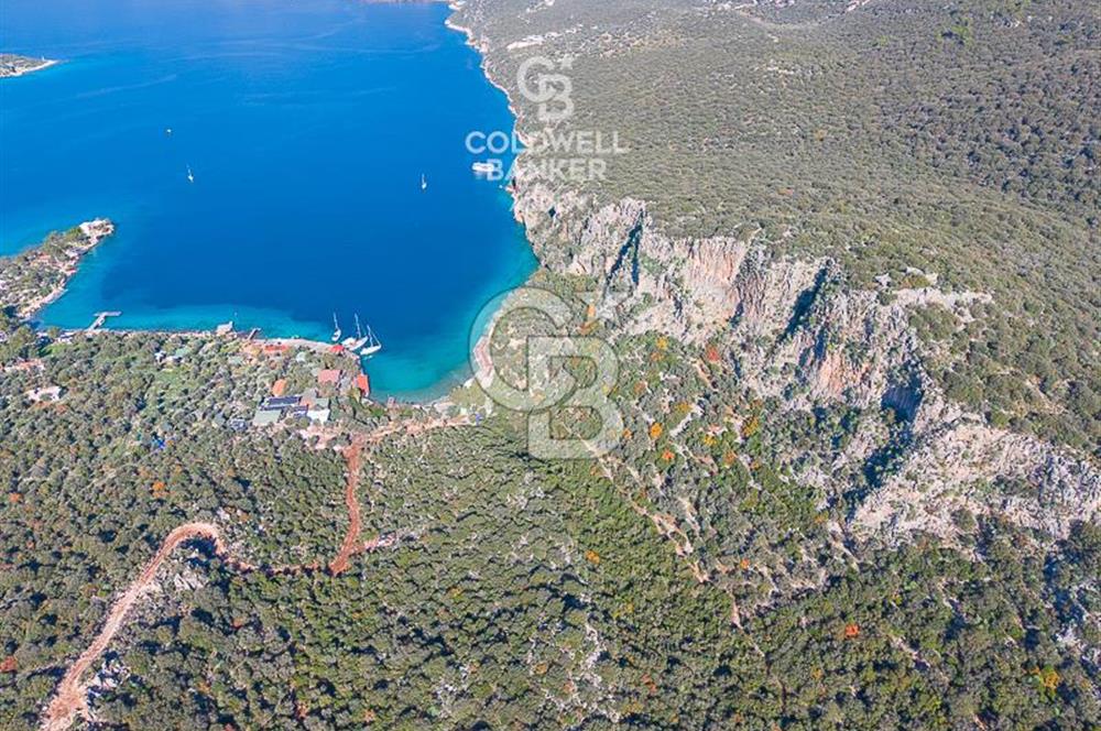 ANTALYA KAŞ LİMANAĞZI NDA CB ARDEN DEN KİRALIK ZEYTİNLİK