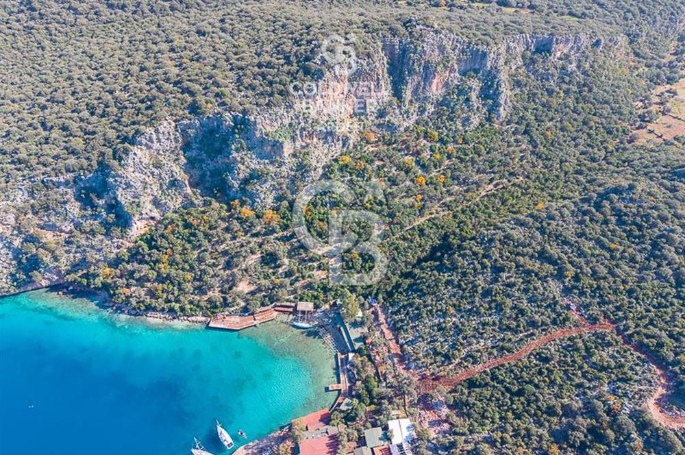 ANTALYA KAŞ LİMANAĞZI NDA CB ARDEN DEN KİRALIK ZEYTİNLİK