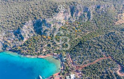 ANTALYA KAŞ LİMANAĞZI NDA CB ARDEN DEN KİRALIK ZEYTİNLİK