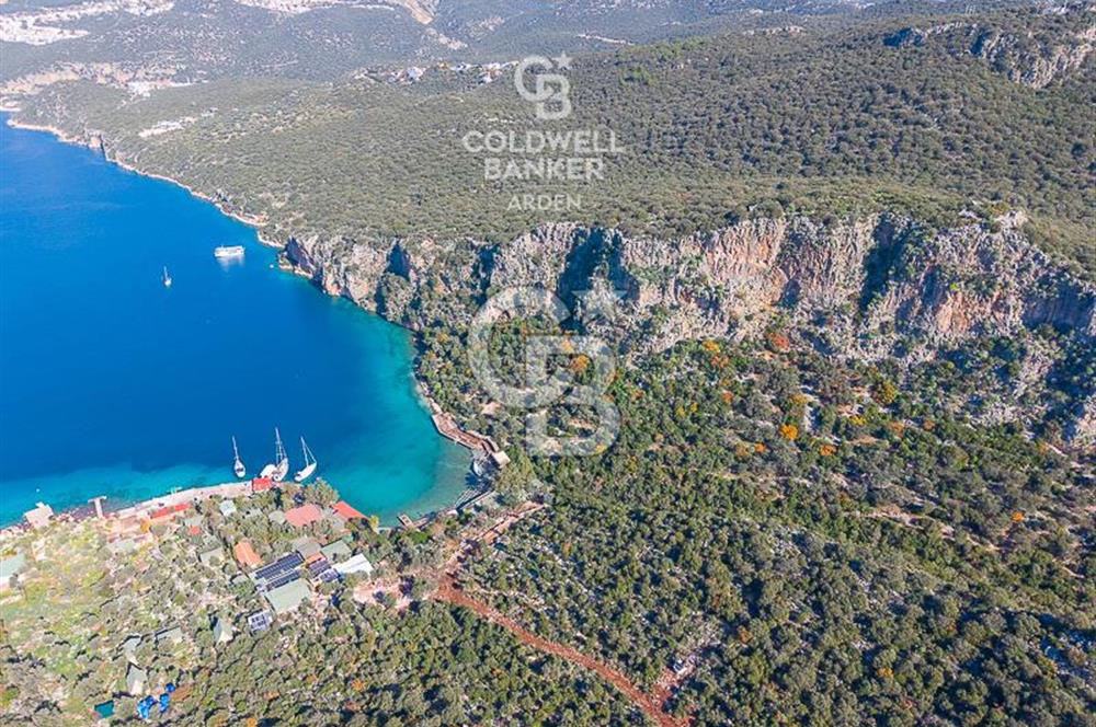 ANTALYA KAŞ LİMANAĞZI NDA CB ARDEN DEN KİRALIK ZEYTİNLİK