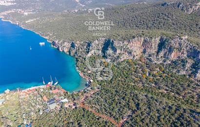 ANTALYA KAŞ LİMANAĞZI NDA CB ARDEN DEN KİRALIK ZEYTİNLİK