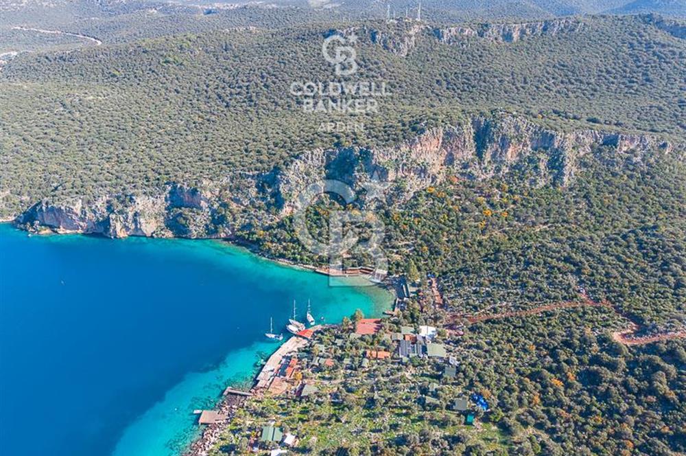 ANTALYA KAŞ LİMANAĞZI NDA CB ARDEN DEN KİRALIK ZEYTİNLİK