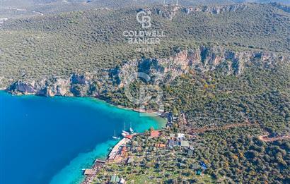 ANTALYA KAŞ LİMANAĞZI NDA CB ARDEN DEN KİRALIK ZEYTİNLİK