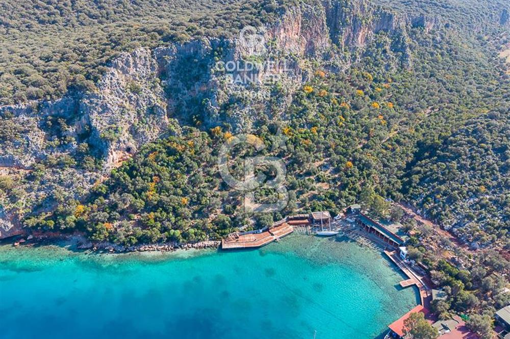 ANTALYA KAŞ LİMANAĞZI NDA CB ARDEN DEN KİRALIK ZEYTİNLİK