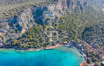 ANTALYA KAŞ LİMANAĞZI NDA CB ARDEN DEN KİRALIK ZEYTİNLİK