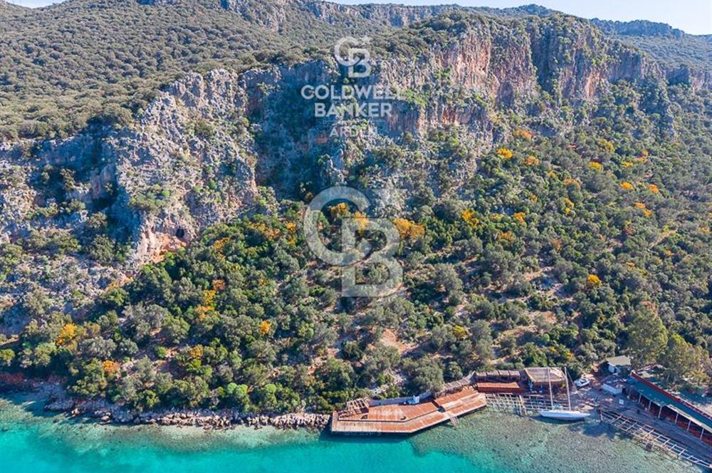 ANTALYA KAŞ LİMANAĞZI NDA CB ARDEN DEN KİRALIK ZEYTİNLİK