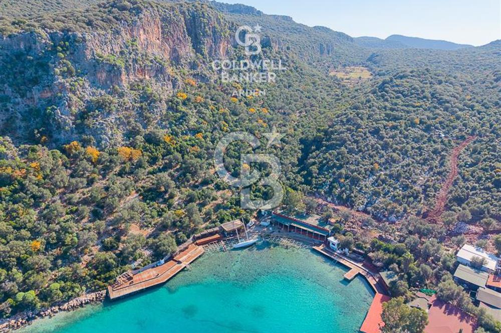 ANTALYA KAŞ LİMANAĞZI NDA CB ARDEN DEN KİRALIK ZEYTİNLİK