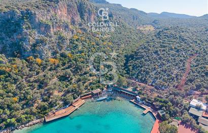 ANTALYA KAŞ LİMANAĞZI NDA CB ARDEN DEN KİRALIK ZEYTİNLİK