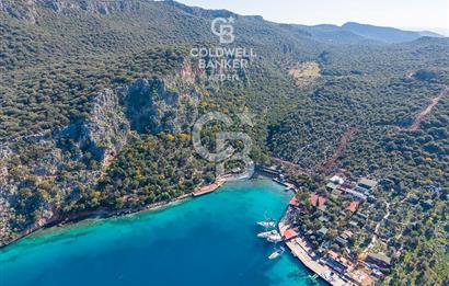 ANTALYA KAŞ LİMANAĞZI NDA CB ARDEN DEN KİRALIK ZEYTİNLİK