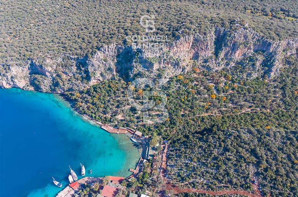 ANTALYA KAŞ LİMANAĞZI NDA CB ARDEN DEN KİRALIK ZEYTİNLİK