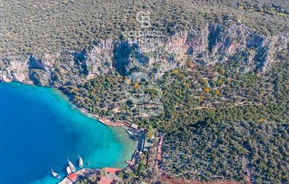 ANTALYA KAŞ LİMANAĞZI NDA CB ARDEN DEN KİRALIK ZEYTİNLİK