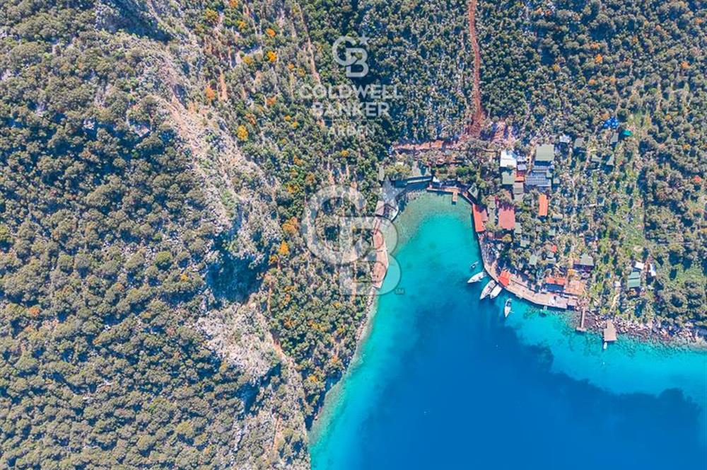 ANTALYA KAŞ LİMANAĞZI NDA CB ARDEN DEN KİRALIK ZEYTİNLİK