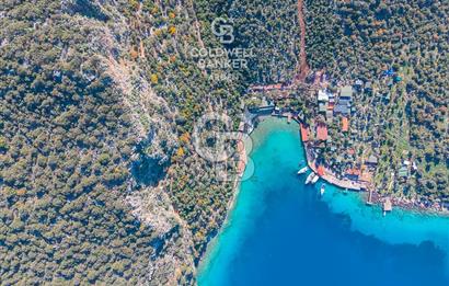 ANTALYA KAŞ LİMANAĞZI NDA CB ARDEN DEN KİRALIK ZEYTİNLİK