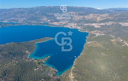 ANTALYA KAŞ LİMANAĞZI NDA CB ARDEN DEN KİRALIK ZEYTİNLİK