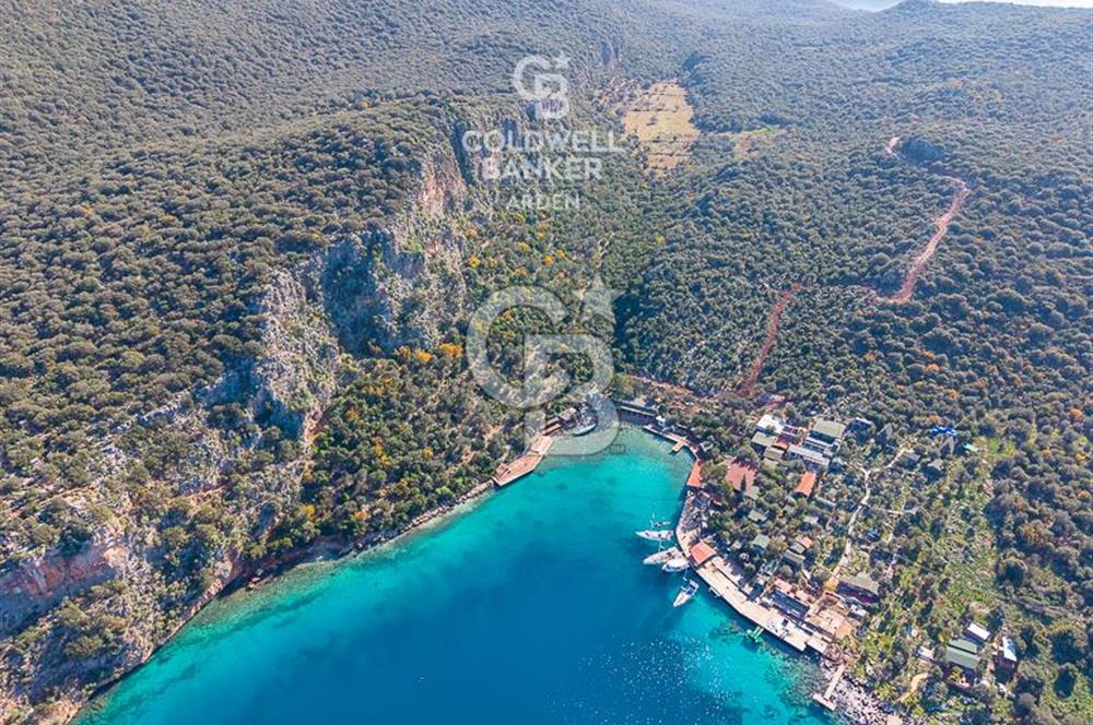 ANTALYA KAŞ LİMANAĞZI NDA CB ARDEN DEN KİRALIK ZEYTİNLİK