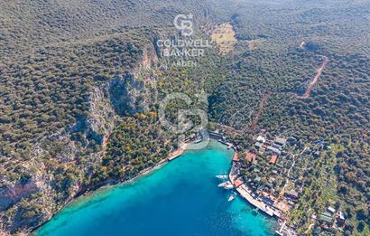 ANTALYA KAŞ LİMANAĞZI NDA CB ARDEN DEN KİRALIK ZEYTİNLİK