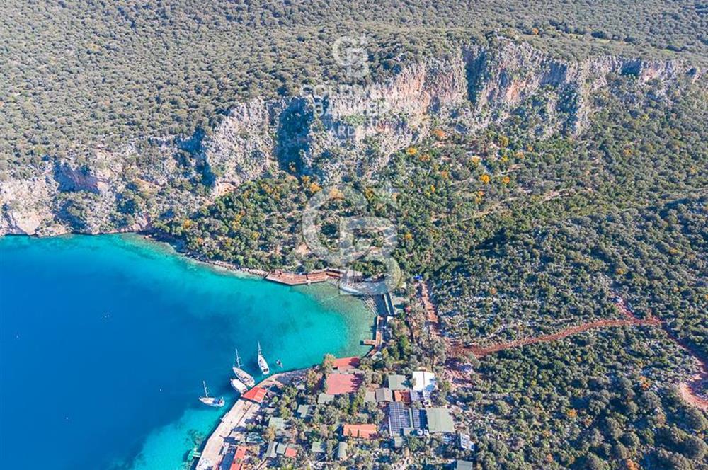 ANTALYA KAŞ LİMANAĞZI NDA CB ARDEN DEN KİRALIK ZEYTİNLİK