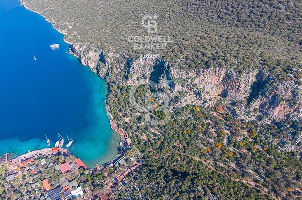 ANTALYA KAŞ LİMANAĞZI NDA CB ARDEN DEN KİRALIK ZEYTİNLİK