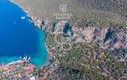 ANTALYA KAŞ LİMANAĞZI NDA CB ARDEN DEN KİRALIK ZEYTİNLİK